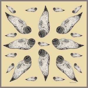 Foka szara - Jedwabna Apaszka (90x90)